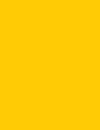 Cores 51 AmareloOuro 10YR8 14 1