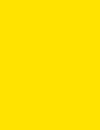 Cores 50 AmareloSeguranca 5Y8 12 1