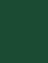 Cores 62 VerdeEmblema 25G3 4