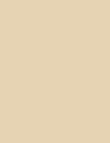 Cores 117 1001