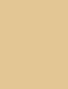 Cores 118 1002