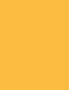 Cores 119 1003