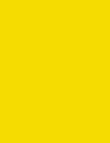 Cores 109 Amarelo Skol