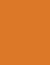 Cores 114 Laranja Nepal Ford 72
