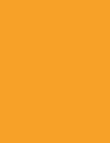 Cores 141 RAL 1037