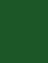 Cores 208 RAL 6002
