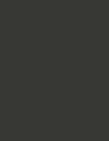 Cores 212 RAL 6006