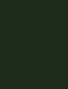 Cores 213 RAL 6007