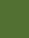 Cores 230 RAL 6025