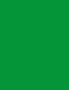 Cores 238 RAL 6037