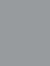 Cores 240 RAL 7001