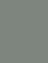 Cores 261 RAL 7033