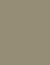 Cores 262 RAL 7034