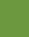Cores 101 Verde Atibaia Ford 78